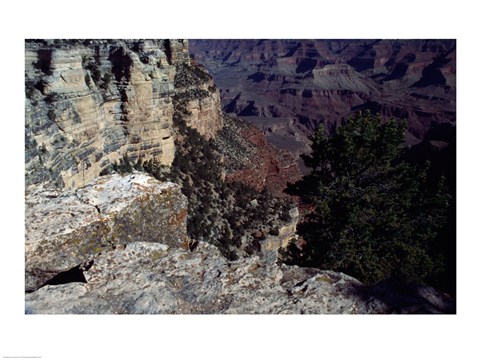 Framed Looking Down Into the Grand Canyon Print