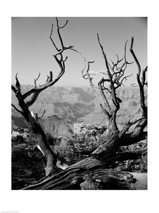 Framed USA, Arizona, Grand Canyon, Colorado River seen from South Rim Print