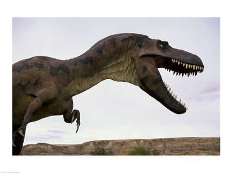 Framed Tyrannosaurus Rex, Royal Tyrrell Museum, Drumheller, Alberta, Canada Print