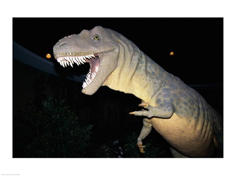 Framed Albertosaurus, Royal Tyrrell Museum, Drumheller, Alberta, Canada Print