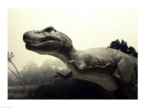Framed Close-up of a Tyrannosaurus Rex Print