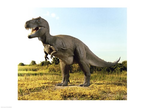 Framed Close-up of a tyrannosaurus rex standing in a field Print