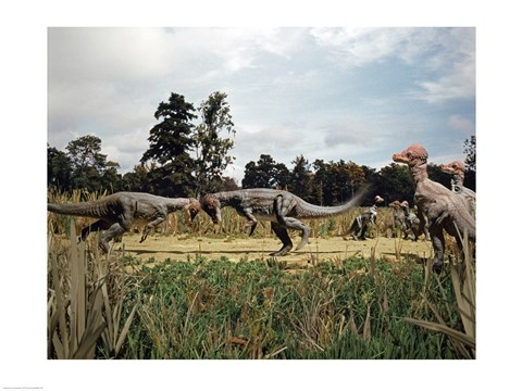 Framed Side profile of two pachycephalosaurus fighting in a forest Print