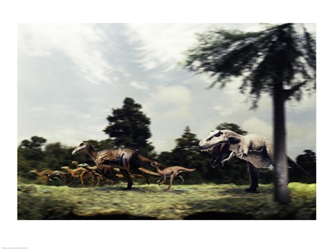 Framed Side profile of a tyrannosaur attacking a group of anatosaurus Print