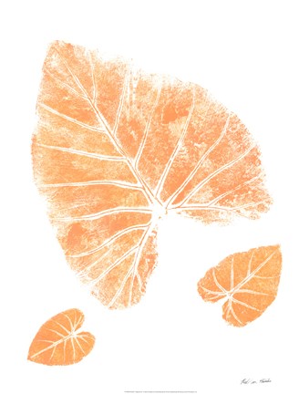 Framed Elephant Print