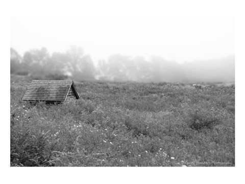 Framed In the Fog Print