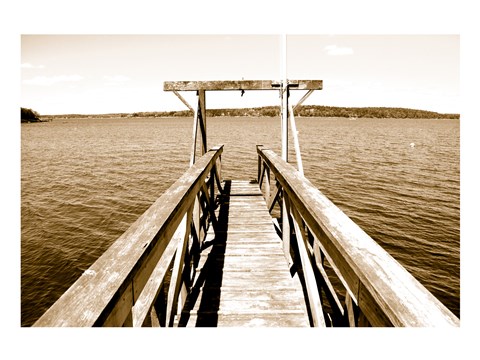 Framed View From The Gulls Nest Print