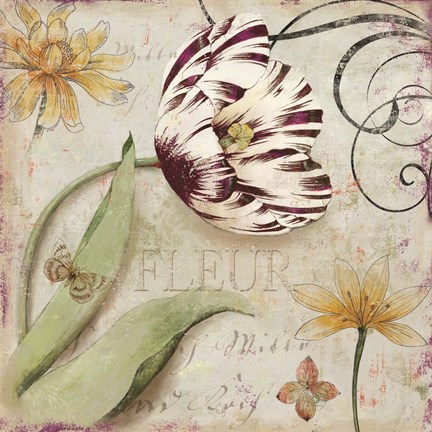 Framed Tulipa I Print