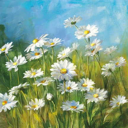 Framed Summer Field II Print