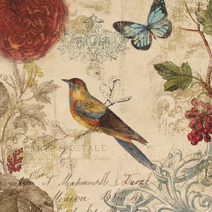 Framed Natures Rhapsody I Print