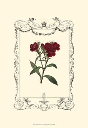 Framed Garden Charm III Print