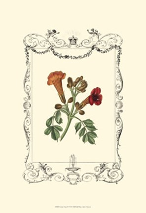 Framed Garden Charm IV Print