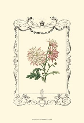 Framed Garden Charm V Print