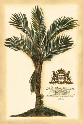 Framed British Colonial Palm IV Print