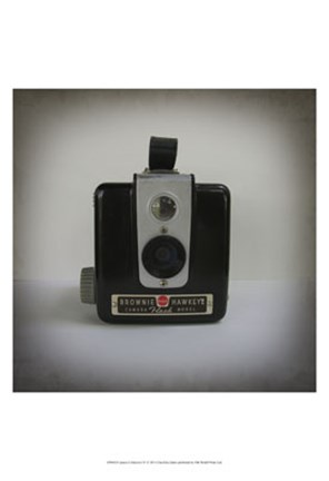 Framed Camera Collection IV Print