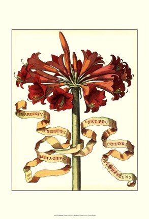 Framed Ribbon Florals I Print