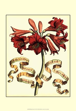 Framed Ribbon Florals II Print