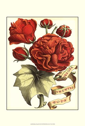 Framed Ribbon Florals III Print