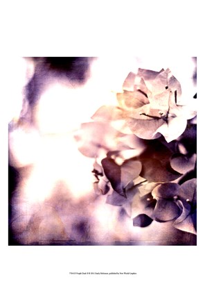 Framed Purple Dusk II Print