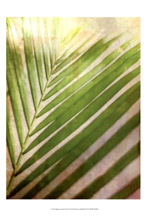 Framed Elegant Frond II Print