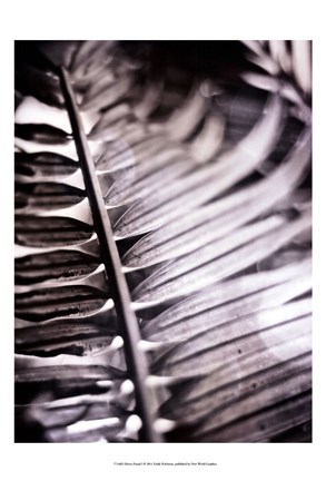 Framed Silvery Frond I Print