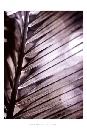 Framed Silvery Frond II Print