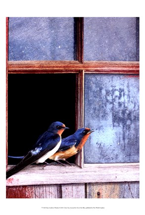 Framed Barn Swallows Window Print