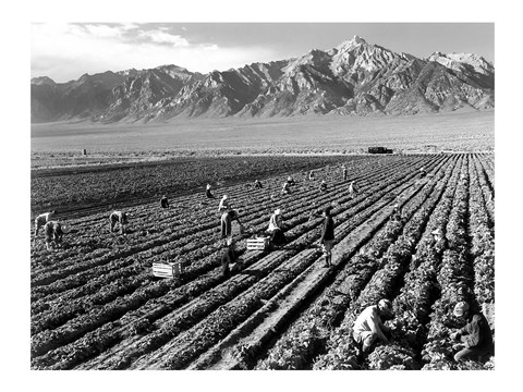 Framed Farm Workers and Mt. Williamson Print