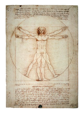 Framed Vitruvian Man Print