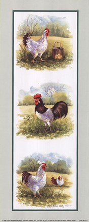 Framed Roosters-2 Chickens Print