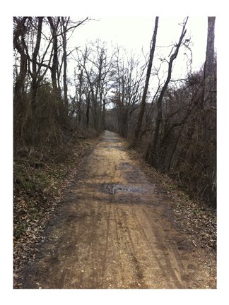 Framed Path Ahead Print