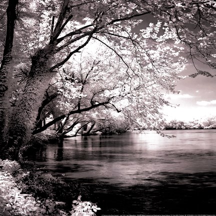 Framed Spring On The River Square I - mini Print