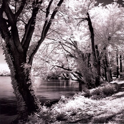 Framed Spring On The River Square II - mini Print