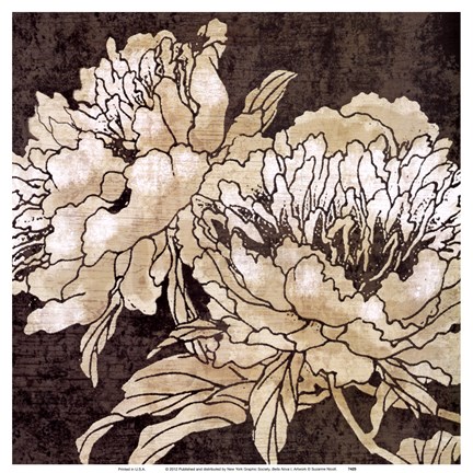 Framed Bella Nova I Print