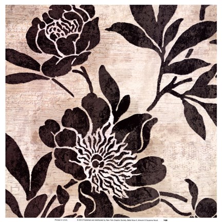 Framed Bella Nova II Print