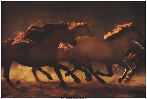 Framed Into The Light Print