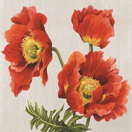 Framed Poppies on Silk Print