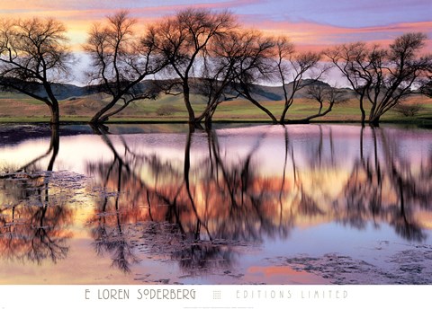 Framed Lake Reflection Print