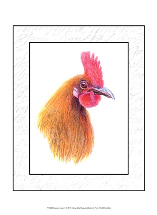 Framed Rooster Insets I Print