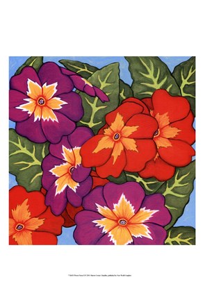 Framed Flower Fiesta II Print