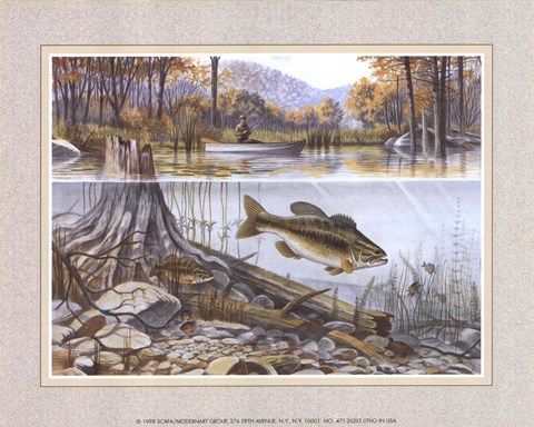 Framed Trout Under Water Print
