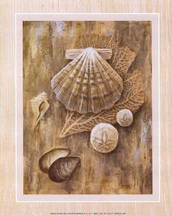 Framed Assorted Shells Print
