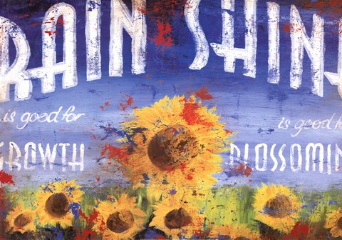 Framed Rain And Shine Print