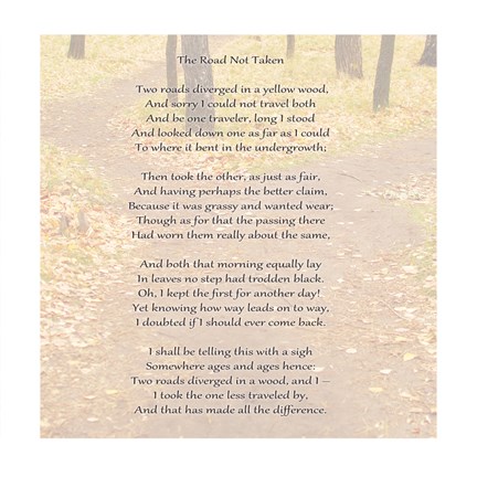 Framed Road Not Taken On Path Print