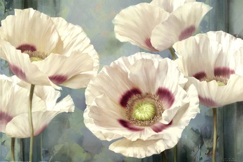 Framed Tasmanian Poppies I Print