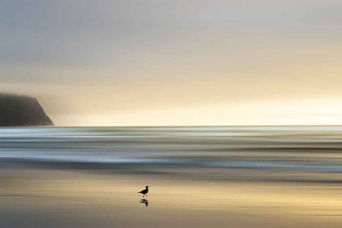 Framed Morning Visit Print