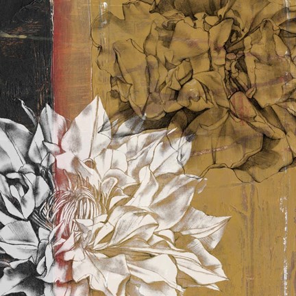 Framed Bloom Illusion I Print