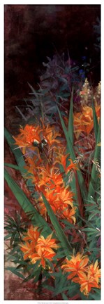 Framed Wild Lily Garden I Print