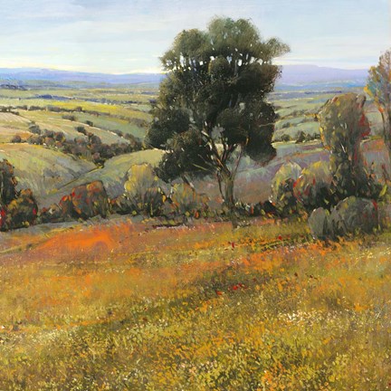 Framed Field In Summer Print