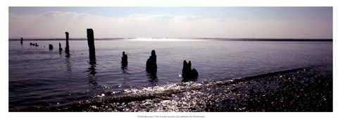 Framed Beach Study I Print